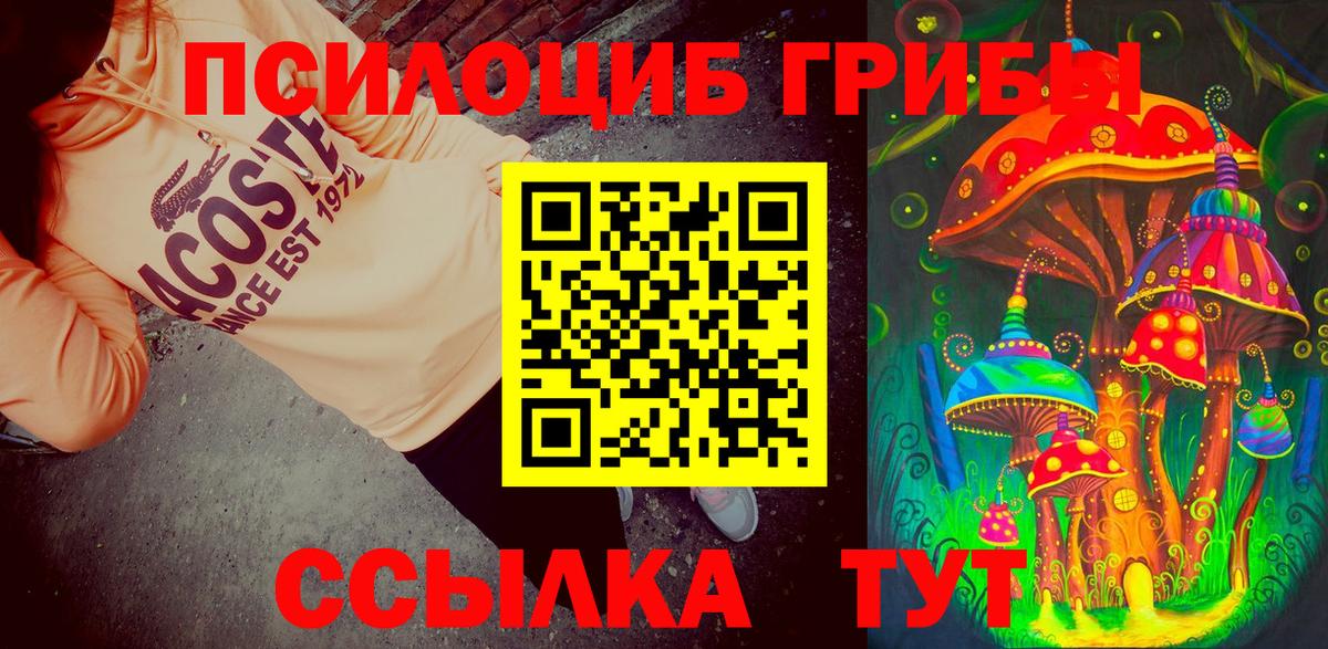 Псилоцибиновые грибы мухоморы  Псилоцибиновые грибы мухоморы  Ейск  Вход с VPN 